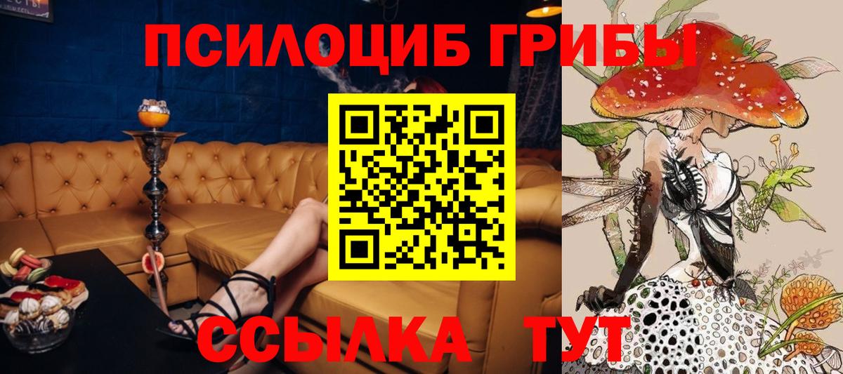 Галлюциногенные грибы Cubensis  Галлюциногенные грибы Psilocybe  Вход с VPN  Орехово-Зуево 